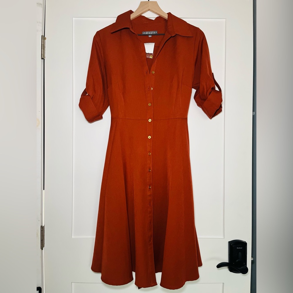 Sharagano Burnt Orange Classy Dress